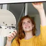 Hyönteiset pysyvät poissa talosta: mitä laittaa ikkunalaudalle