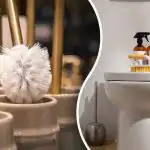 Puhdista harja muutamassa minuutissa: helppo tapa pestä ja desinfioida